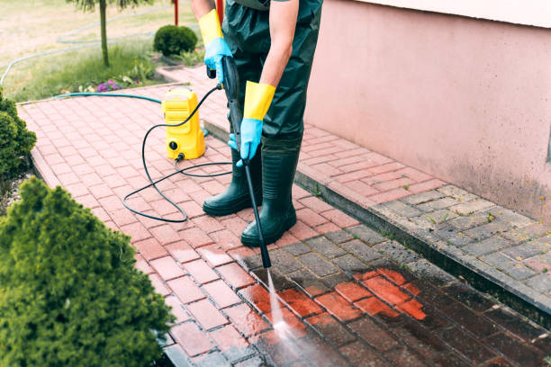 Best Roof Washing  in Huntsville, TN